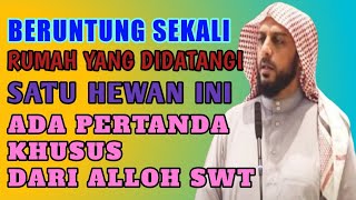 beruntung sekali rumah yang didatangi hewan ini,pertanda dosa diampuni dan dimasukan kedalam surga