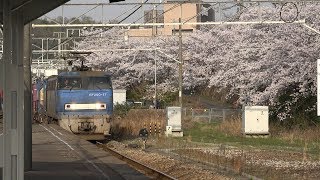 [ありがとうEF200]山陽本線下り2081レ貨物列車 金光駅通過