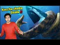 दुनिया की सबसे खतरनाक मछली VS. दुनिया का सबसे विशालकाय साँप Megalodon Shark vs Titanoboa