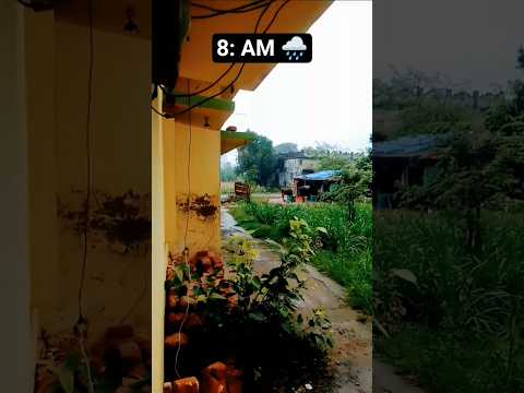 #nature #shorts #barish