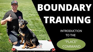 The "Place" Command - Teach Your Dog to Go To Their Bed!