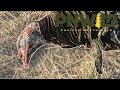 Washington Turkey hunt - Jacobs first! @SamongOutdoors