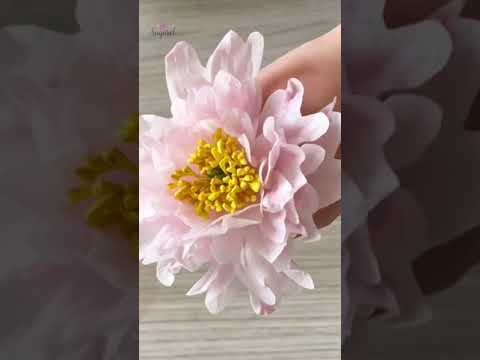 بيوني من ورق الويفر   بطريقة سهلة جدا