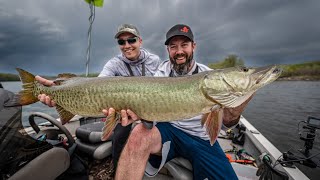 JAW DROPPING MUSKY ACTION (Unbelievable)