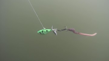 Walleye Nation Creations Death Jig Rig Action