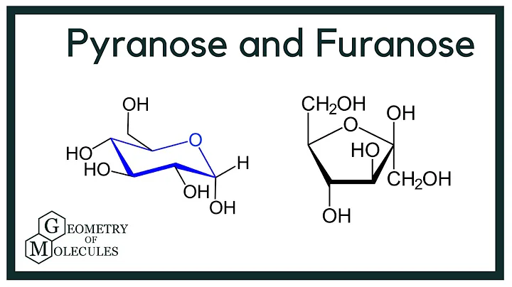 What is the Difference Between Pyranose and Furanose?