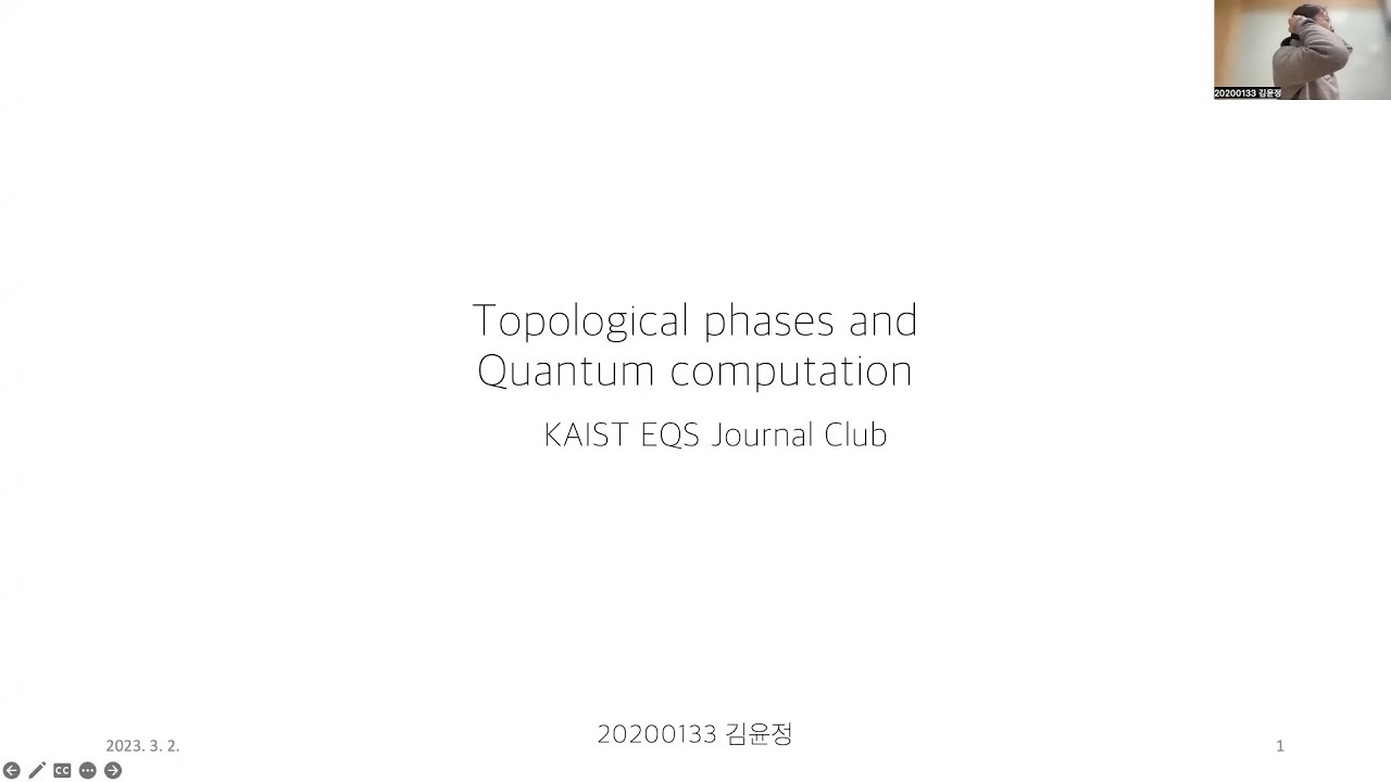 Topological phases and Quantum computation