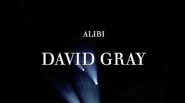 David Gray - Long Gone Now (Official Audio)