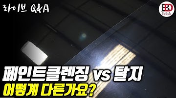 [라이브Q&A] 페인트클렌징과 탈지, 어떻게 다른가요? || 블랙디테일