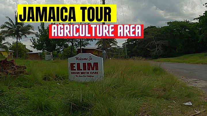 ELIM ST .ELIZABETH JAMAICA AGRICULTURE AREA | PLAC...