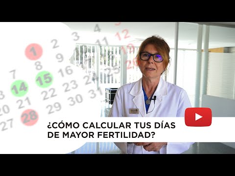 Video: Cómo calcular el día de la ovulación. Cómo calcular con precisión el primer día de ovulación