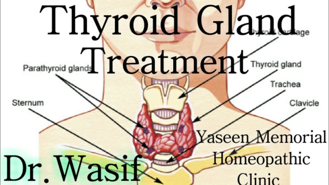 Thyroid Gland Treatment In Homeopathic With Dr.Wasif YouTube