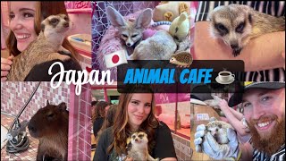 BEST ANIMAL CAFE IN JAPAN 2025
