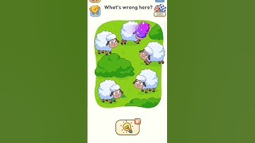 Dop 5 level 333 what