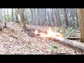 #127【竹林整理】竹を焼く の動画、YouTube動画。