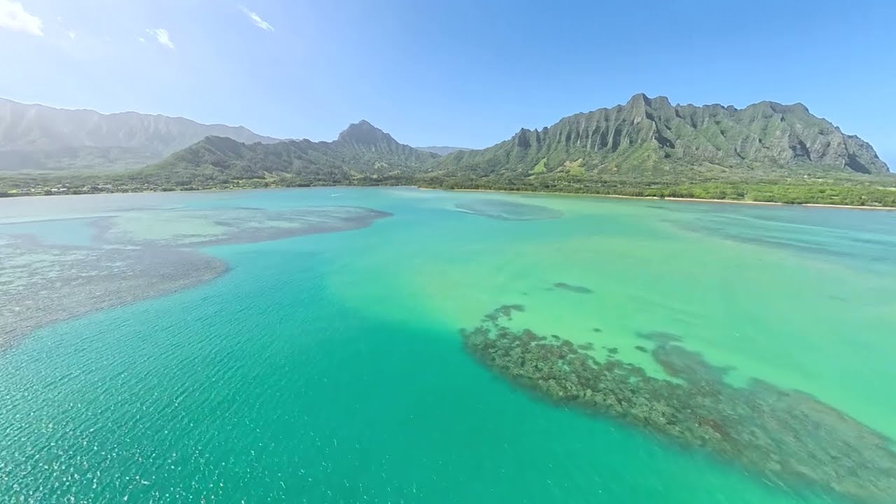 20 Minutes of Pure Hawaii: Kualoa, Turtles, & Mokoli'i Island (Ambient Background)🏝️