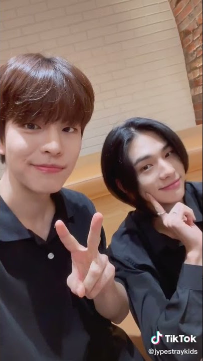 123 cheese challenge ||stray kids tiktok update.