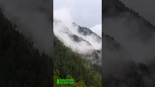 Mushkpuri Top, Nathia Gali Hills, Abbottabad | Discover Pakistan TV