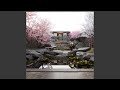 Shamisen Desert Wind