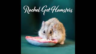 Rachel Got Hamsters THE PODCAST Episode 13 // An Unusual Unboxing of New Hamster Things from Tafit!