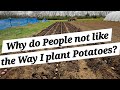 Why do people not like how i plant potatoes