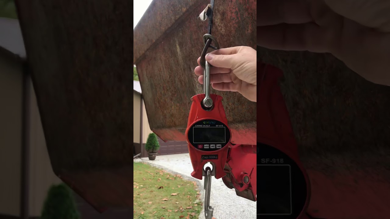 Indiana state record big mouth buffalo