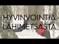 Hyvinvointia lhimetsst