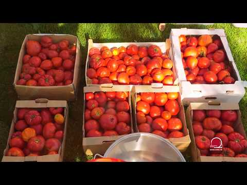 Video: Kako Napraviti Sok Od Rajčice Kod Kuće Za Zimu