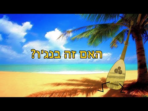 וִידֵאוֹ: מה זה בנג'ו