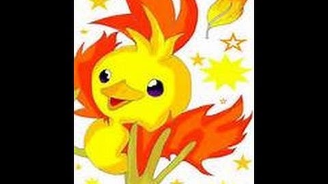 ISHC shiny torchic after only 95 SR