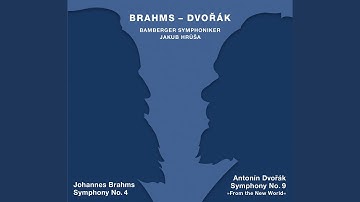 Symphony No. 4 in E Minor, Op. 98: I. Allegro non troppo