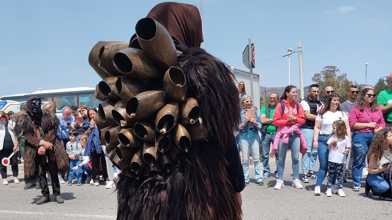 Sagra degli Agrumi🍊🍋🍃🌿🌾 Muravera 2024🌿 #muravera #sardegna #sardeclips #sardegnaofficial