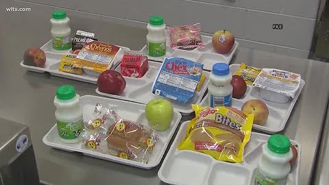 Lexington One to offer free summer meals to students