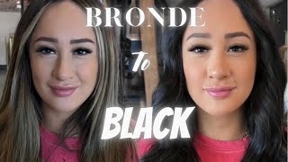 FILLING HAIR! Bronde to Black Transformation