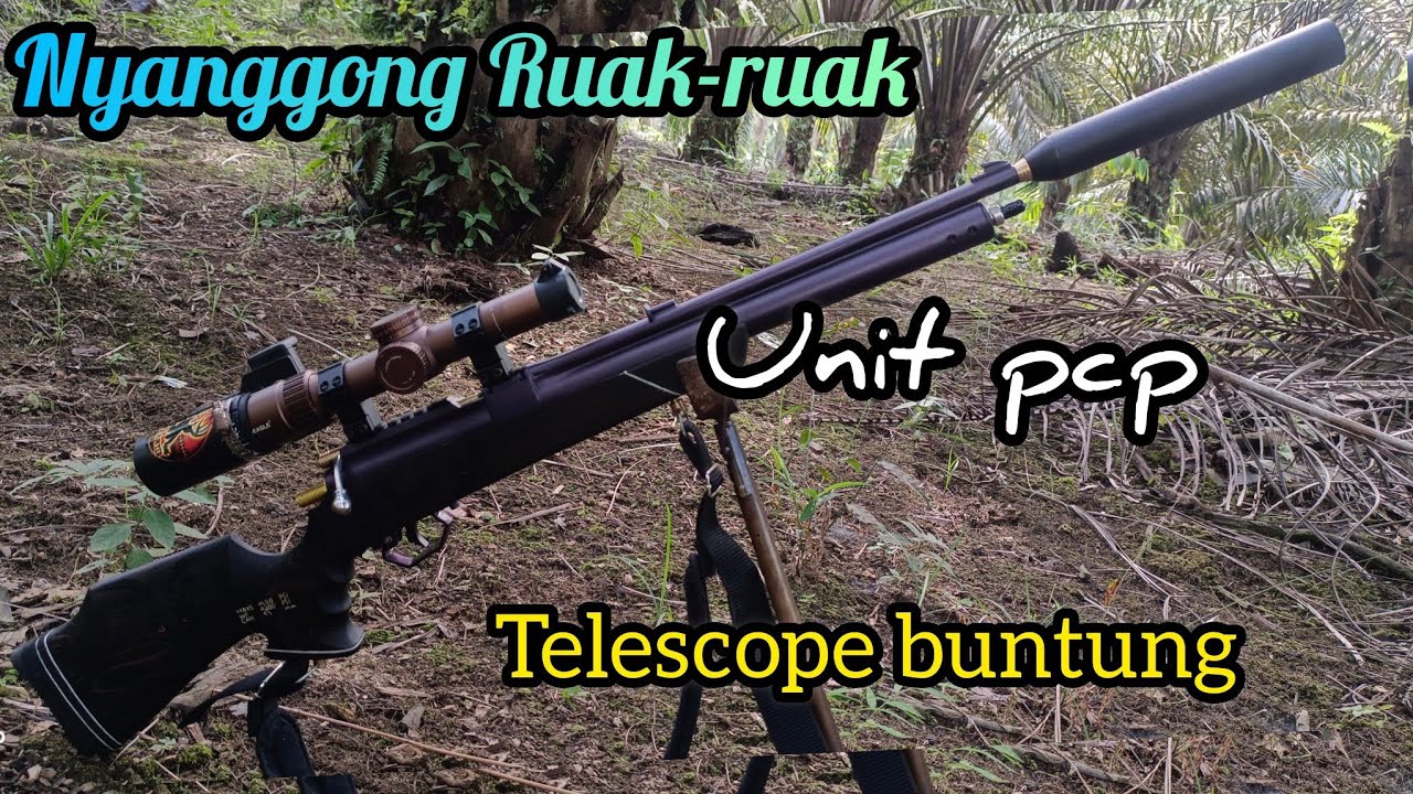 NYANGGONG RUAK-RUAK||unit pcp telescope buntung