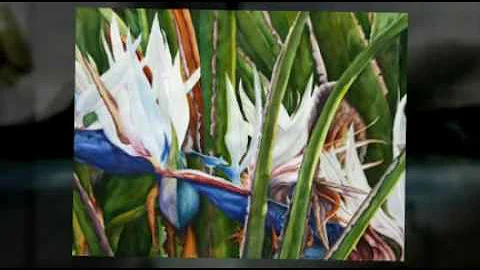 Julie McIntyre Watercolors
