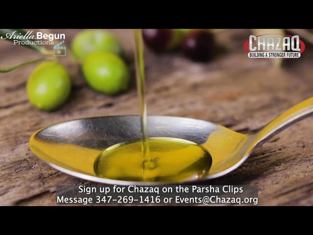 Chazaq on the Parsha: Rabbi Shay Tahan