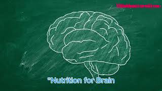 Unlock Your Brain's Power: How Mind Mapping Boosts Memory and Focus for Maximum Productivity