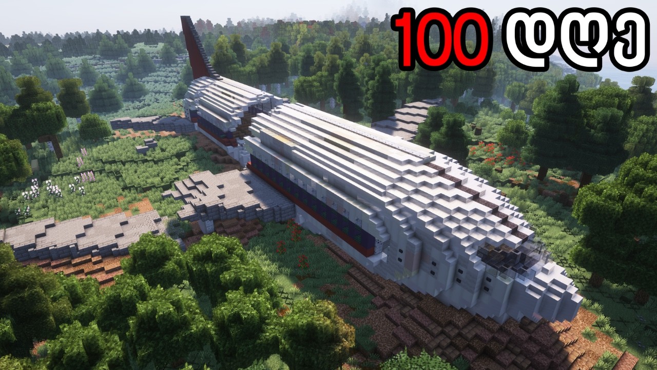 გადარჩე 100 დღე ჩამოვარდნილ თვითმფრინავში...