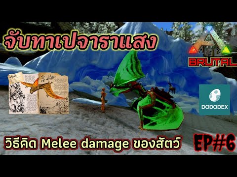 ARK Mobile EP.06  จับนกทาเปจาราแสง/วิธีคิดพลังโจมตีของสัตว์/Tame Eerie Tapejara #TAPEJARA #DODODEX