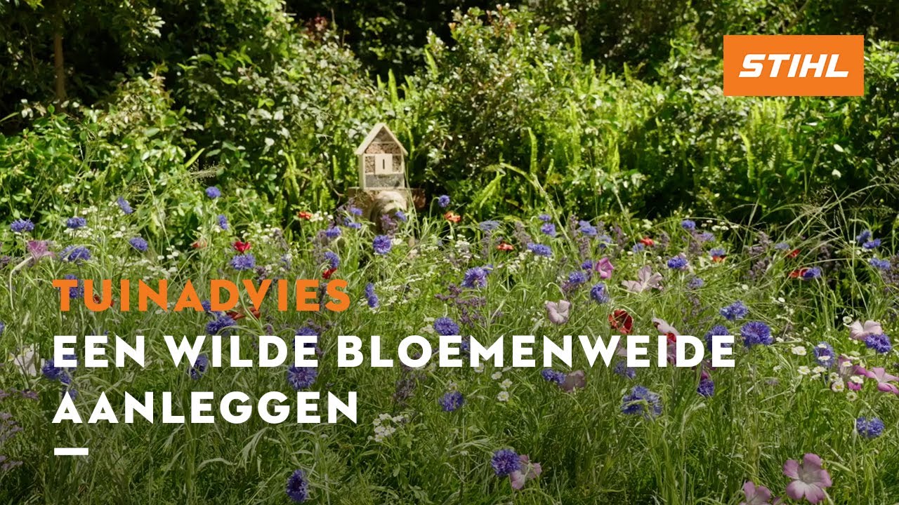 Een wilde bloemenweide aanleggen - STIHL Tuinadvies