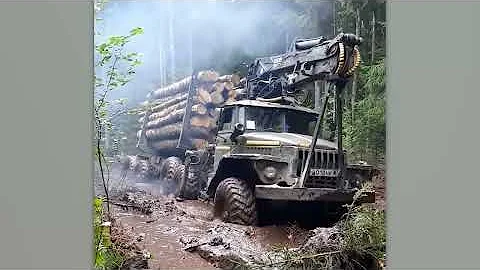 Total Idiots at Work Caught on Camera