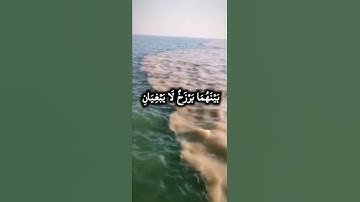 (مَرَجَ الْبَحْرَيْنِ يَلْتَقِيَانِ) بصوت القارئ عمير شميم