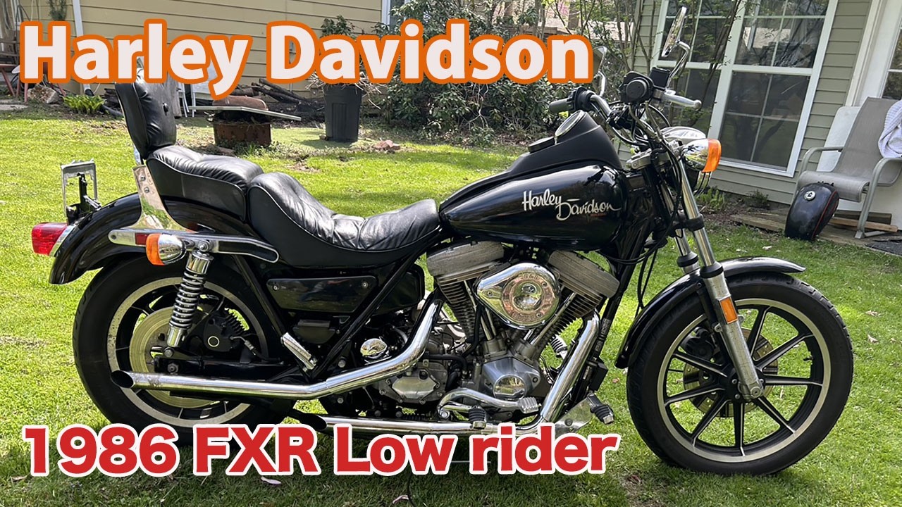 ID2641 Harley Davidson 1986 FXR Low rider - YouTube