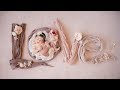 Beautiful Newborn Photoshoot with Adorable Baby Girl