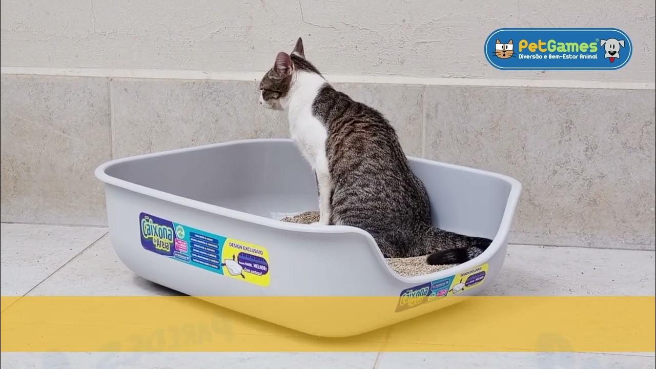 Caixona de Areia Gelo Pet Games - Bandeja Higiênica para Gatos