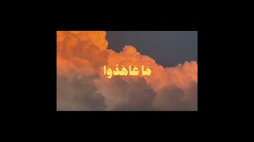 سورة الأحزاب بصوت محمد أيوب #قرآن #قران_كريم #quran #سورة_الاحزاب #محمد_ايوب #اكسبلور