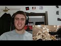 LOVEBITES - Stand And Deliver (Shoot 'em Down) (Official Video) | (Reaction!!)