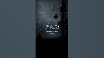 سورة الطلاق..عبدالباسط عبدالصمد.. ( لَا تَدْرِي لَعَلَّ اللَّهَ يُحْدِثُ بَعْدَ ذَلِكَ أَمْرًا )