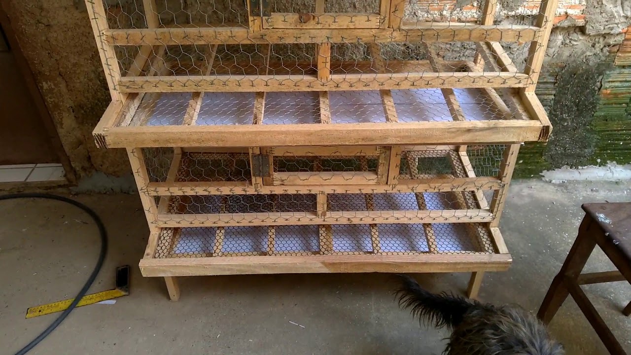 Mais um viveiro de codornas pronto